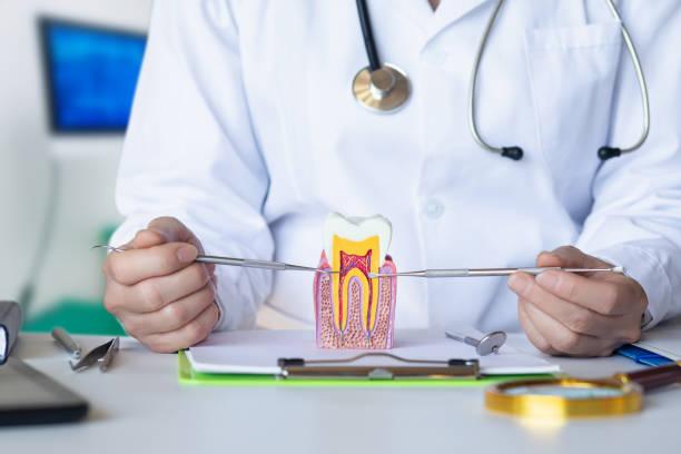 Best Emergency Treatment for Dental Infections or Abscesses in Wernersville, PA